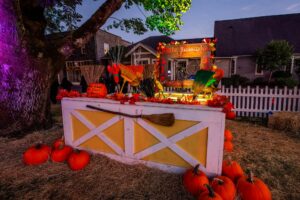 24-0929te_web-232-min