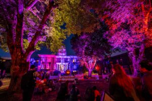 24-0929te_web-239-min