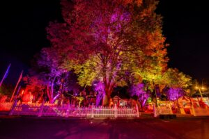 24-0929te_web-253-min