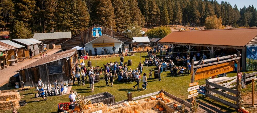 Harvest Festival at the Resort